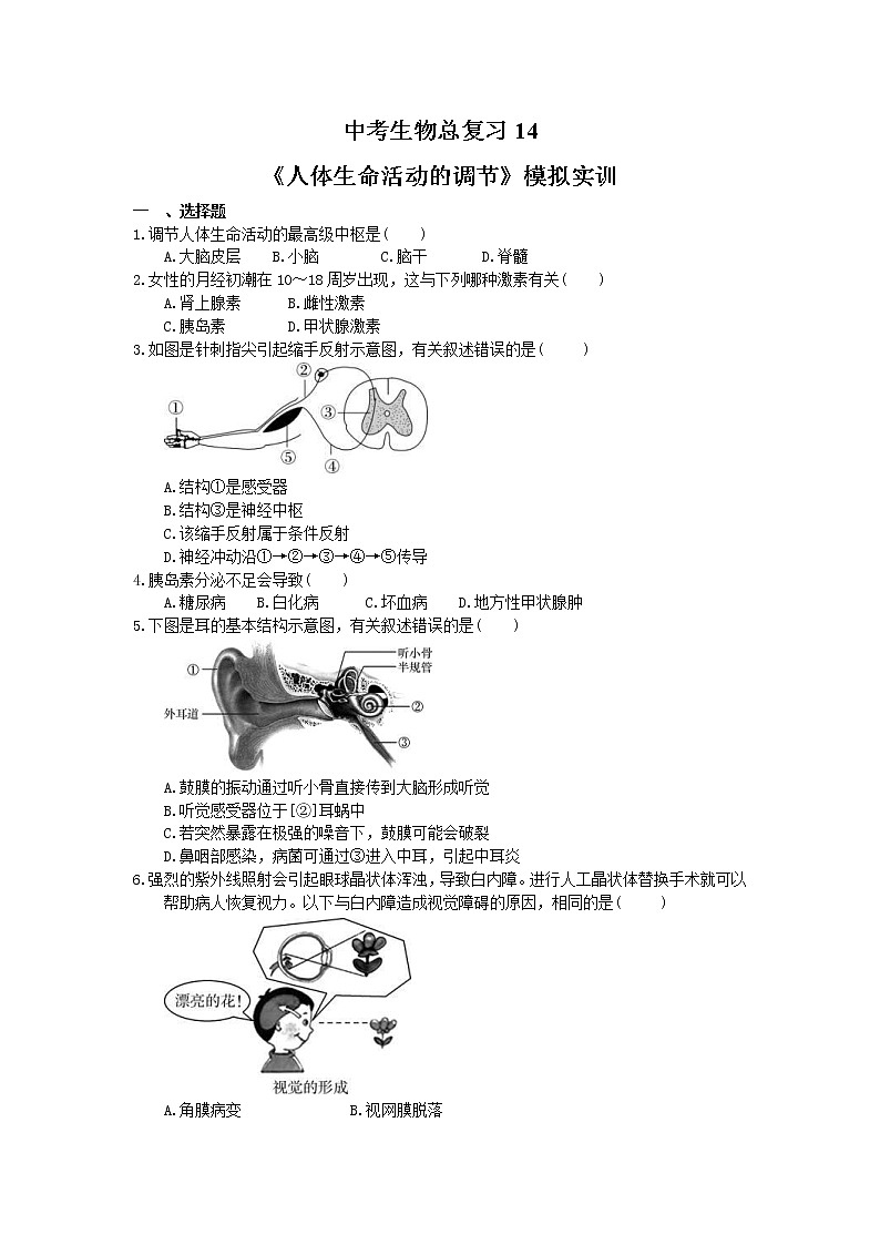 中考生物总复习14《人体生命活动的调节》模拟实训（含答案）第1页