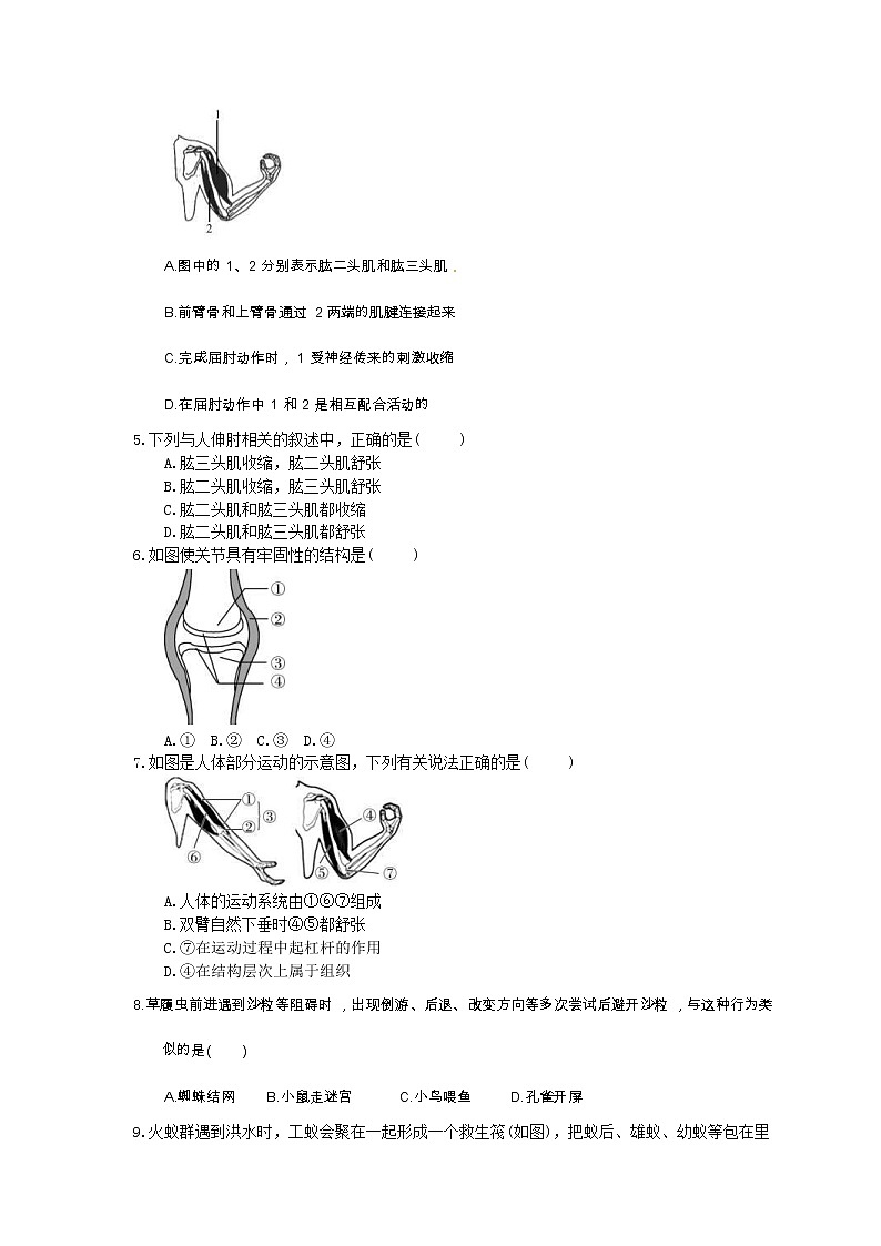 中考生物总复习18《动物的运动和行为》模拟实训（含答案） 试卷02