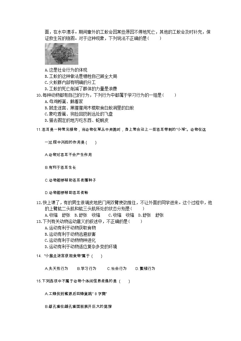 中考生物总复习18《动物的运动和行为》模拟实训（含答案） 试卷03