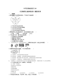 中考生物总复习19《生物的生殖和发育》模拟实训（含答案）