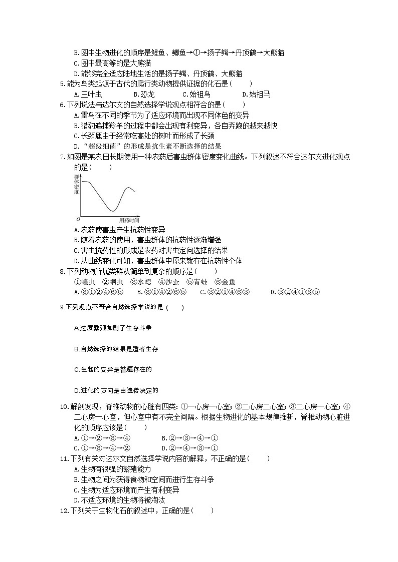 中考生物总复习21《生物的进化》模拟实训（含答案） 试卷02