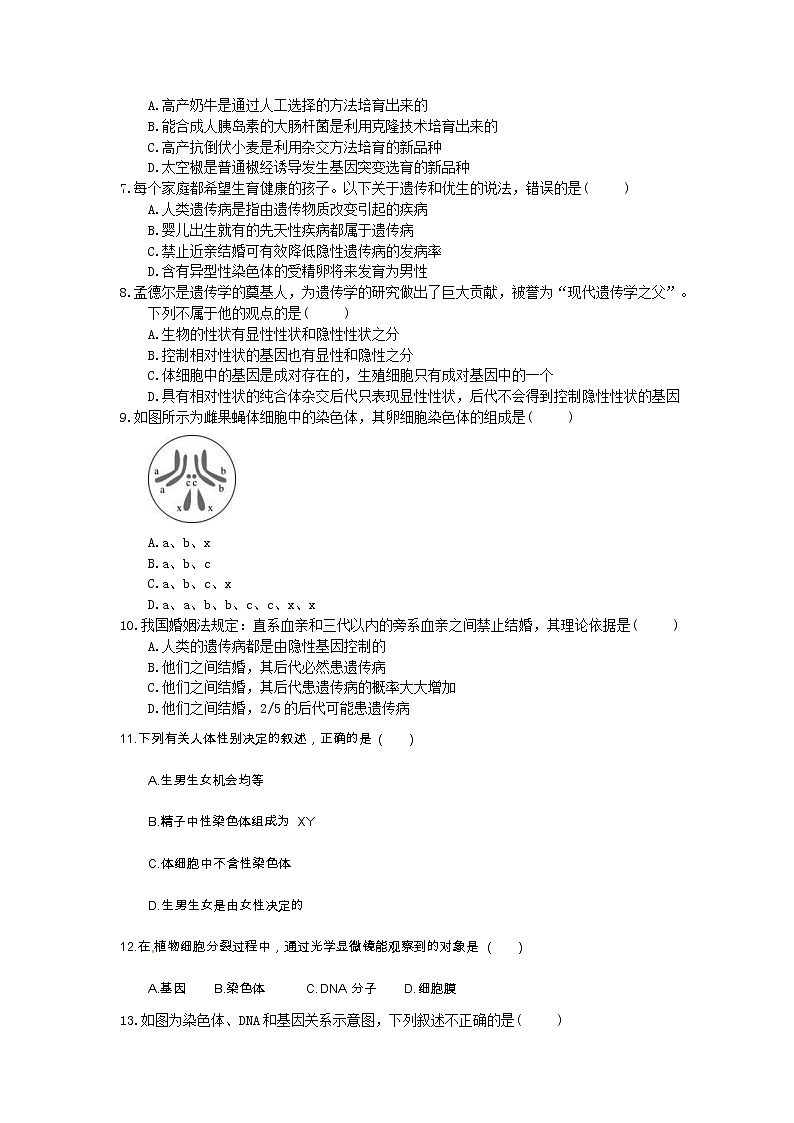 中考生物总复习20《生物的遗传和变异》模拟实训（含答案）第2页