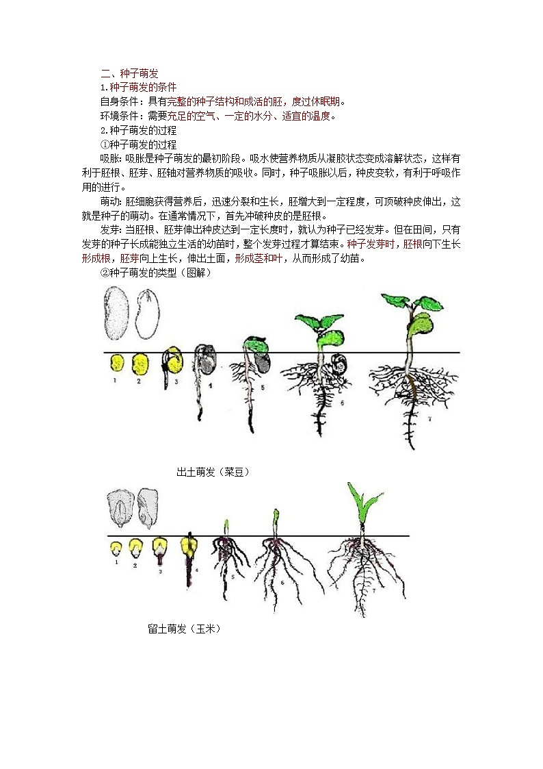 中考生物总复习《绿色开花植物的一生》知识点总结第2页