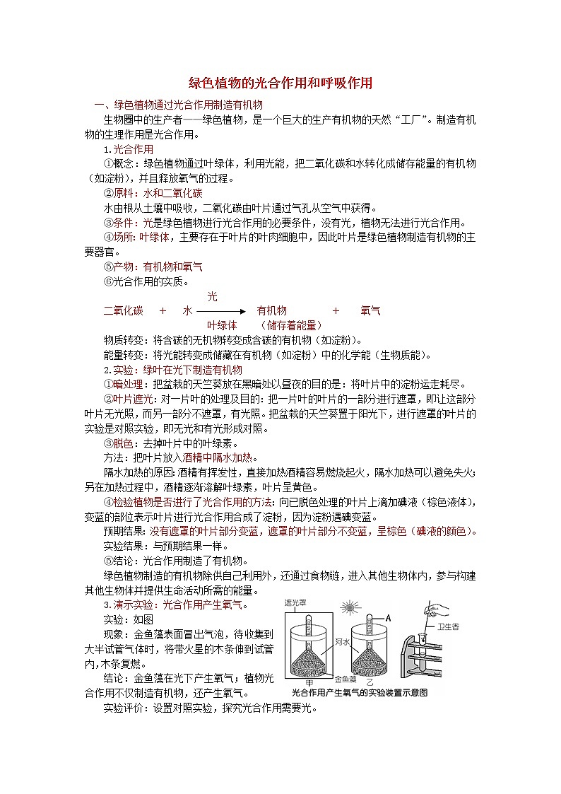 中考生物总复习《绿色植物的光合作用和呼吸作用》知识点总结01