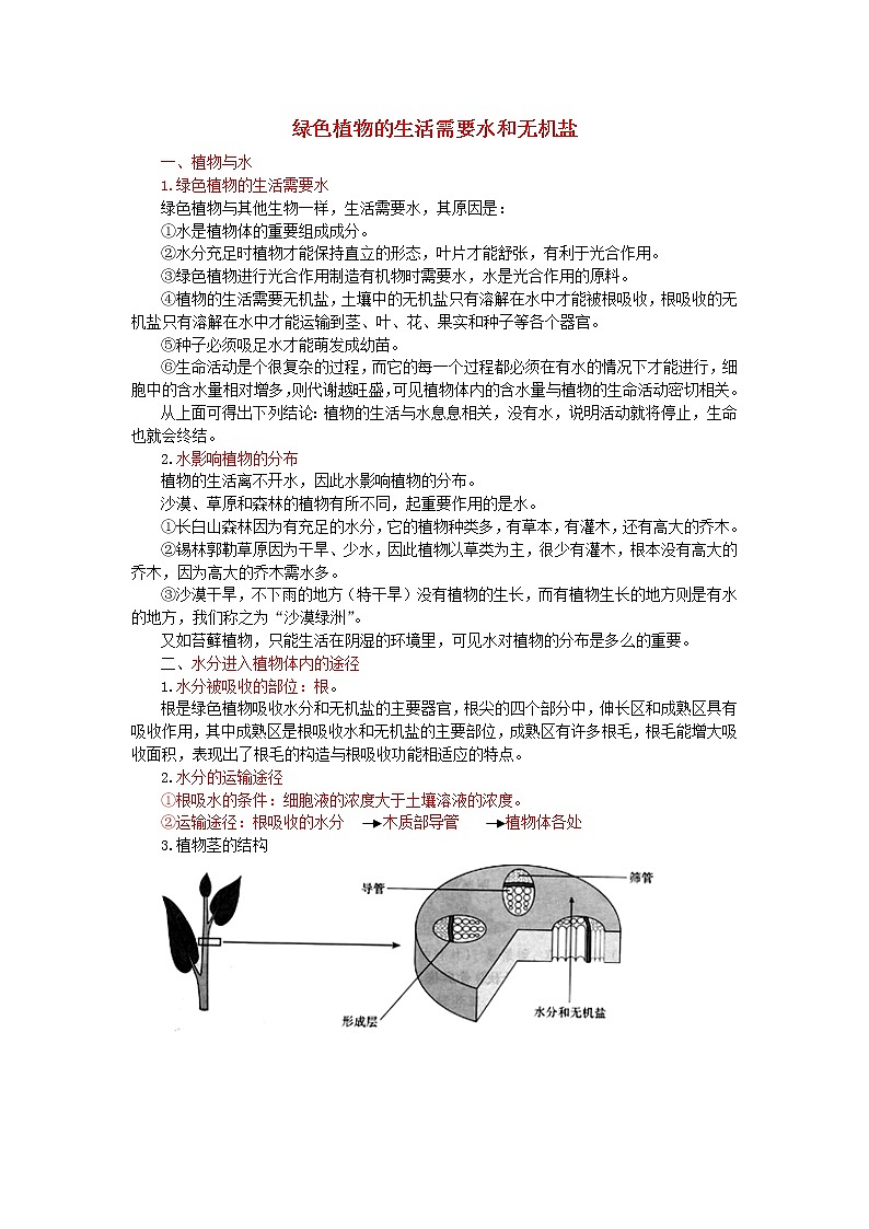 中考生物总复习《绿色植物的生活需要水和无机盐》知识点总结第1页