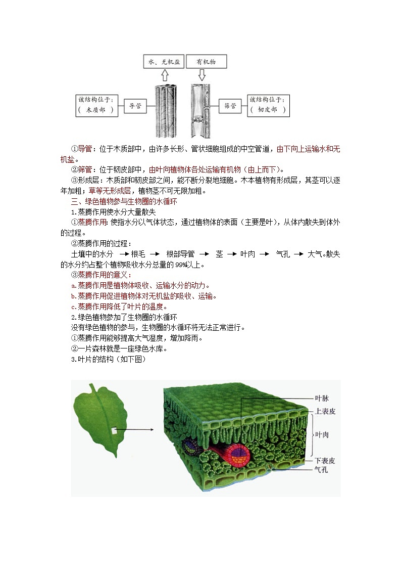 中考生物总复习《绿色植物的生活需要水和无机盐》知识点总结第2页