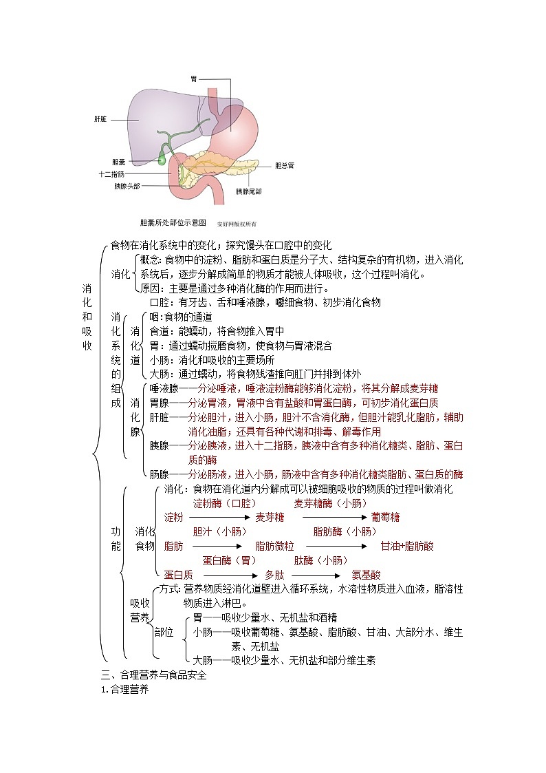 中考生物总复习《人的食物来源于环境》知识点总结02