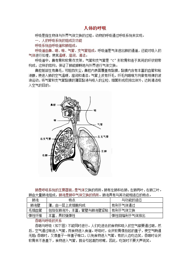 中考生物总复习《人体的呼吸》知识点总结01
