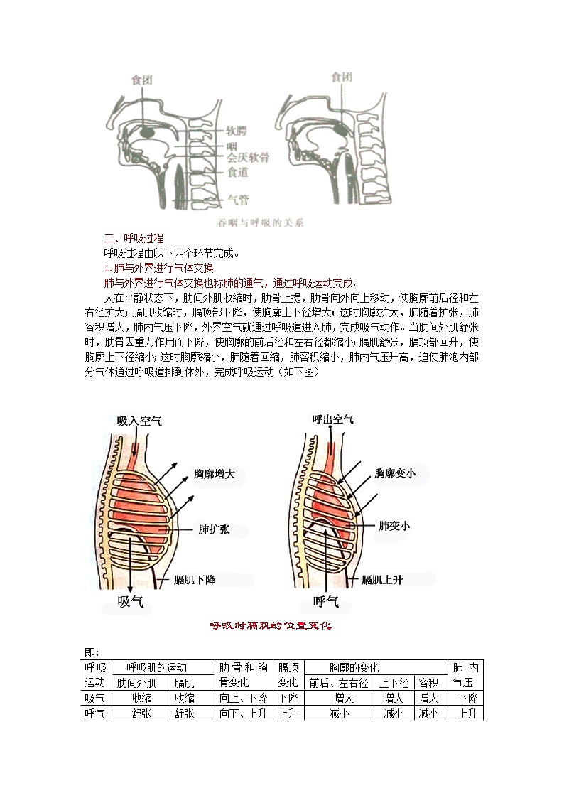 中考生物总复习《人体的呼吸》知识点总结02