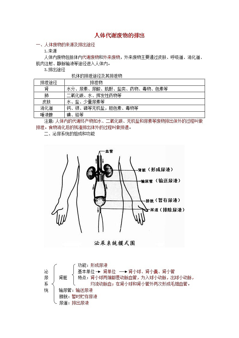 中考生物总复习《人体代谢废物的排出》知识点总结01