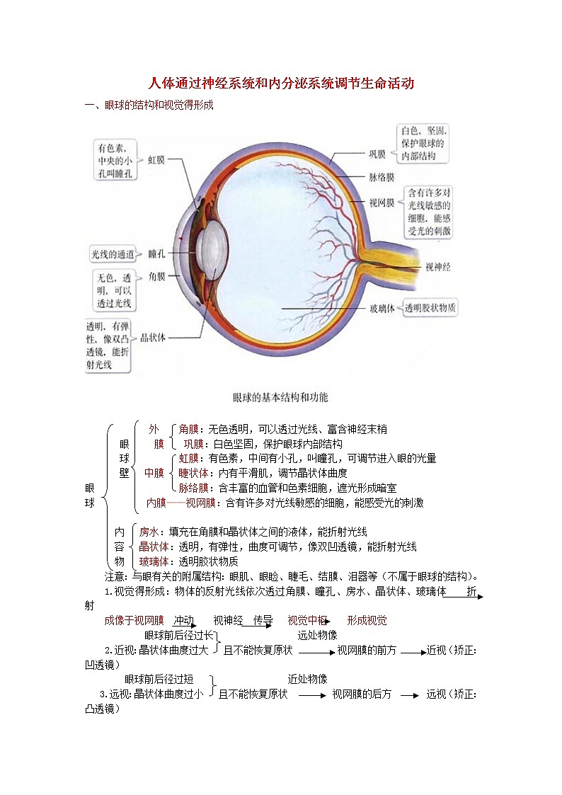 中考生物总复习《人体通过神经系统和内分泌系统调节生命活动》知识点总结.01