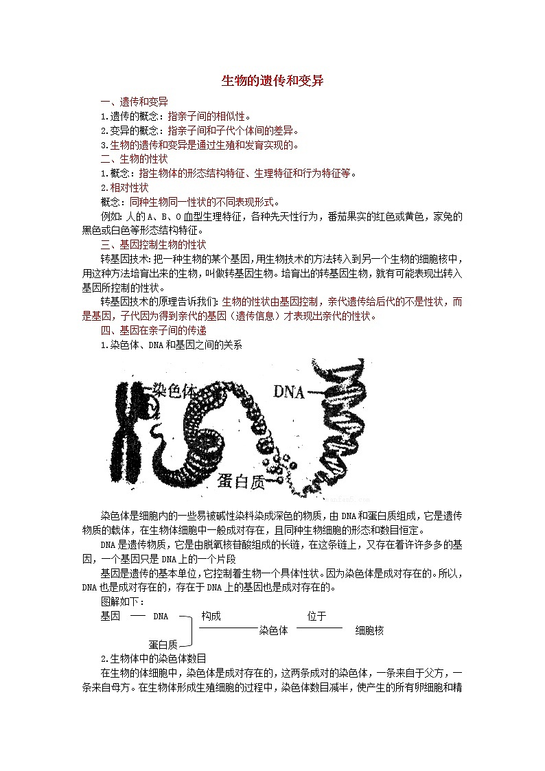 中考生物总复习《生物的遗传和变异》知识点总结01