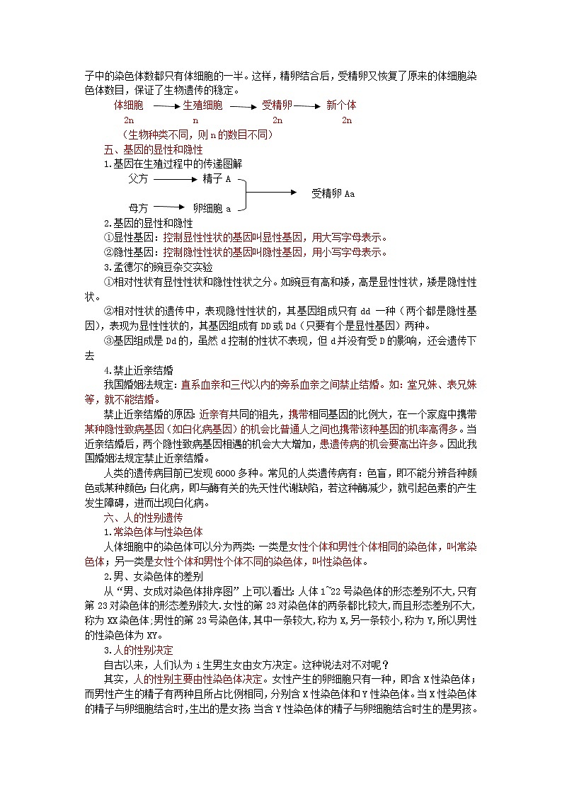 中考生物总复习《生物的遗传和变异》知识点总结02
