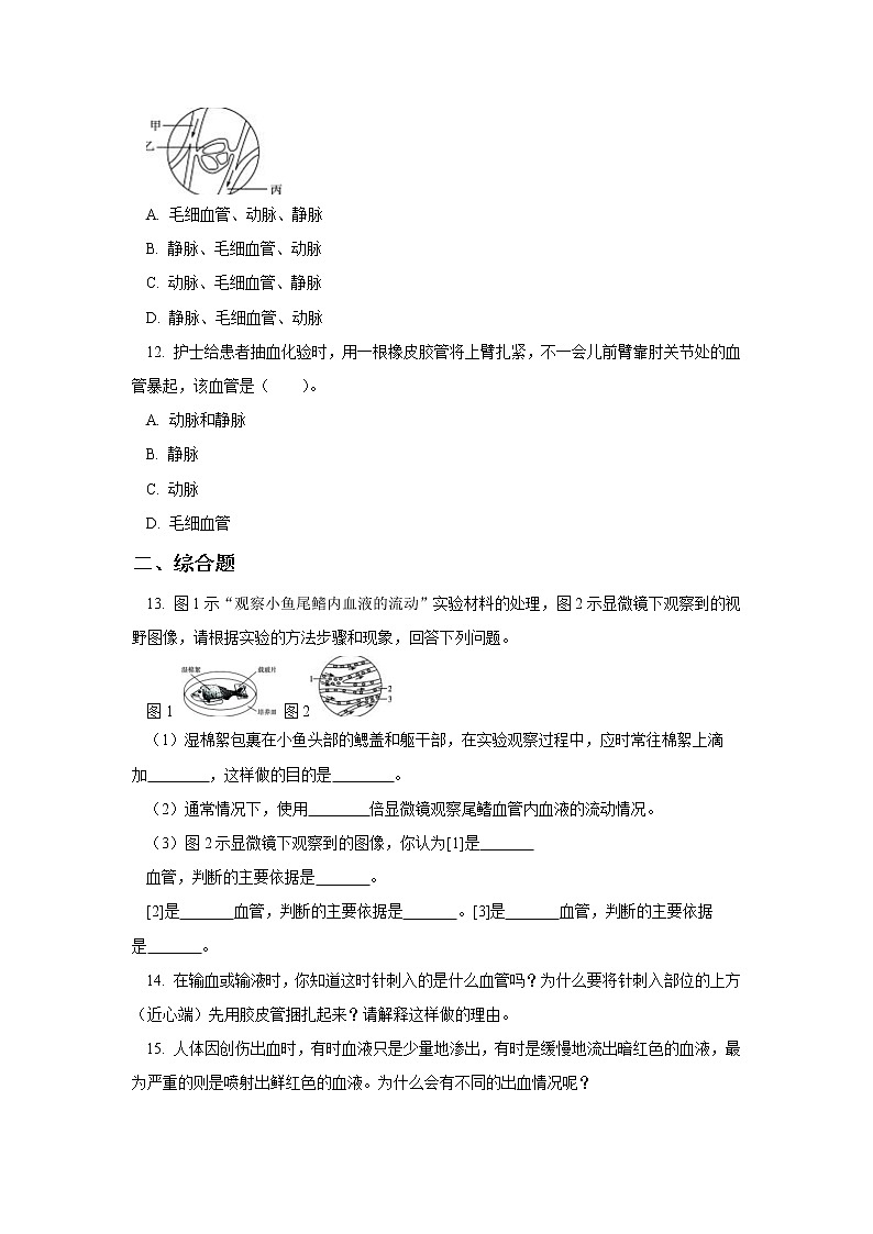 人教版七年级生物下册4.4.2血流的管道——血管（习题）03
