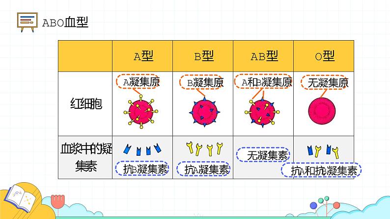 4.4.4 输血与血型（28张）-人教版生物七年级下册课件第8页