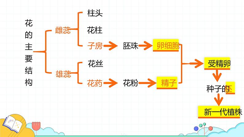 7.1.1 植物的生殖（27张）-人教版生物八年级下册课件第6页