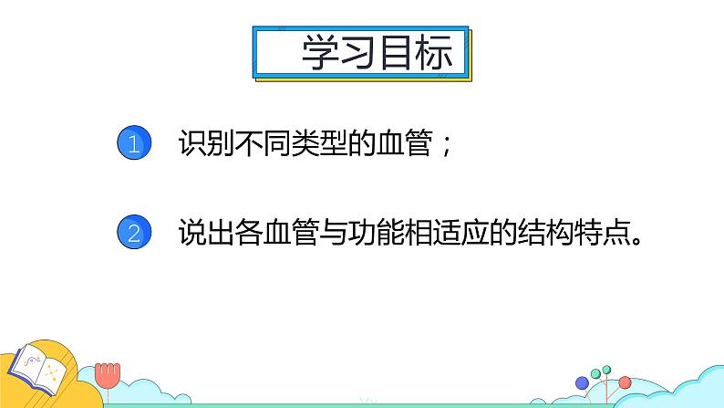 4.4.2 血流的管道——血管（31张）-人教版生物七年级下册课件02