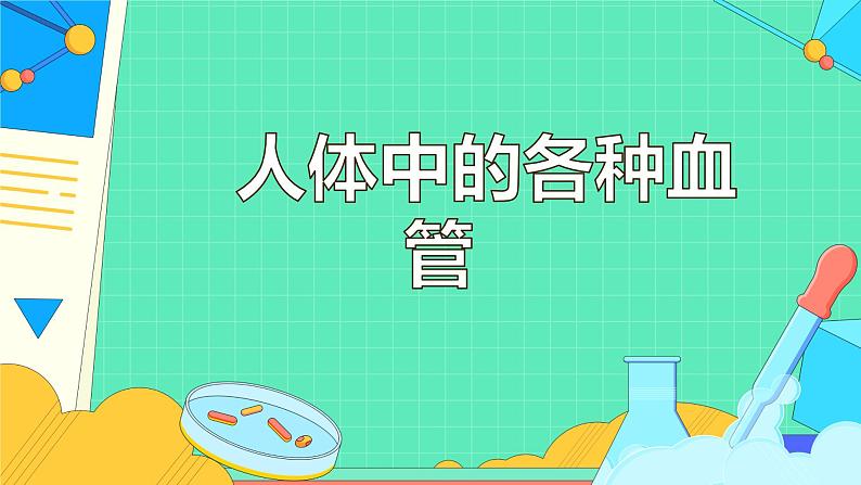 4.4.2 血流的管道——血管（31张）-人教版生物七年级下册课件06