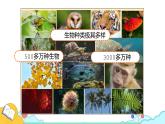7.3.2 生物进化的历程（30张）-人教版生物八年级下册课件