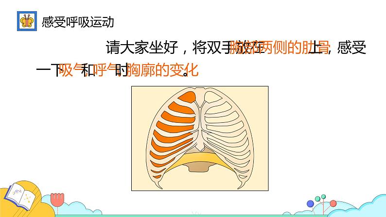 4.3.2 发生在肺内的气体交换（43张）-人教版生物七年级下册课件第7页