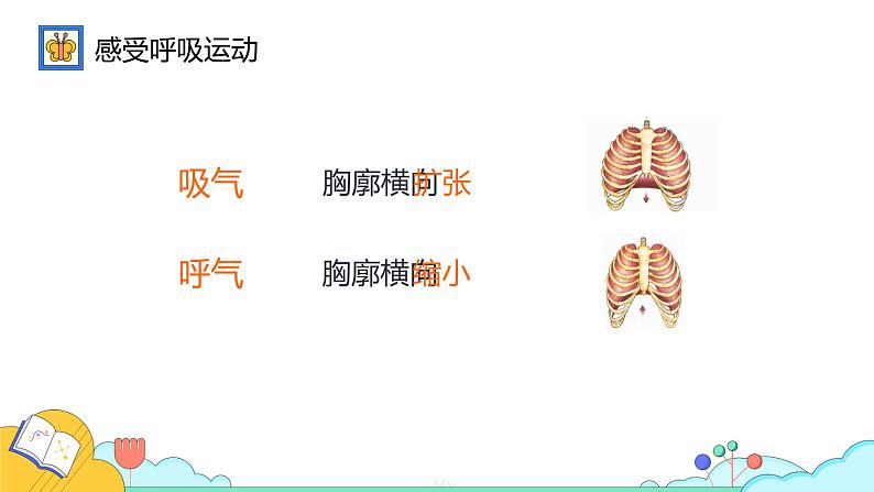 4.3.2 发生在肺内的气体交换（43张）-人教版生物七年级下册课件第8页