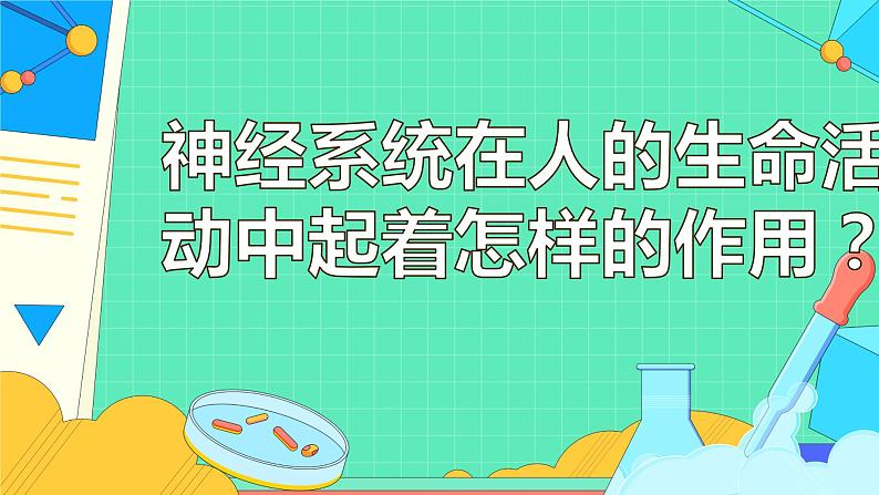 4.6.3 神经调节的基本方式（50张）-人教版生物七年级下册课件05