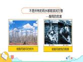 4.7.2 探究环境污染对生物的影响（32张）-人教版生物七年级下册课件