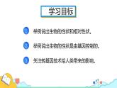 7.2.1 基因控制生物的性状（25张）-人教版生物八年级下册课件