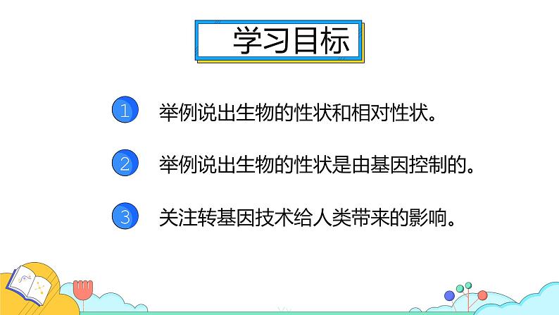 7.2.1 基因控制生物的性状（25张）-人教版生物八年级下册课件第2页