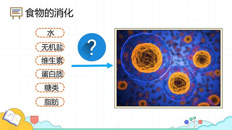 4.2.2 消化和吸收（71张）-人教版生物七年级下册课件第5页