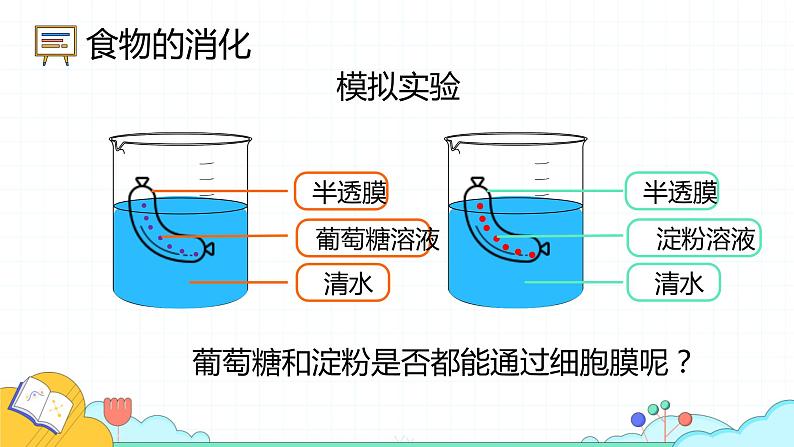 4.2.2 消化和吸收（71张）-人教版生物七年级下册课件第7页