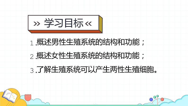 4.1.2 人的生殖（37张）-人教版生物七年级下册课件03