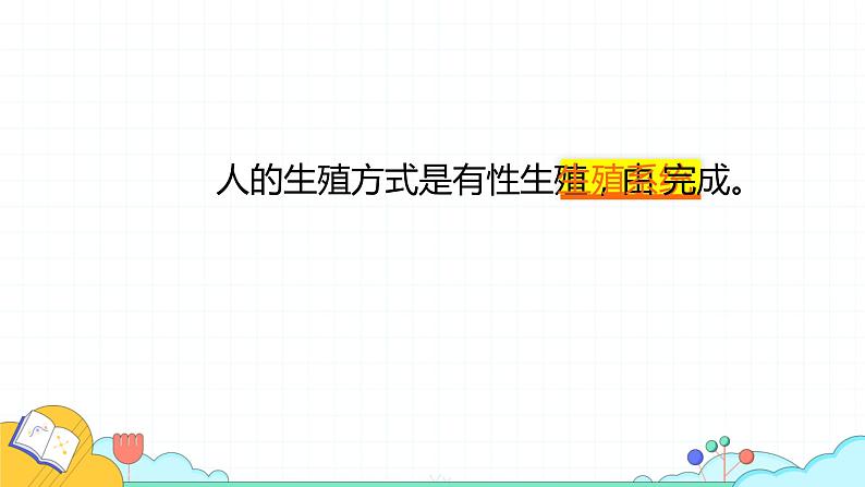 4.1.2 人的生殖（37张）-人教版生物七年级下册课件06