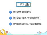 7.1.4 鸟的生殖和发育（26张）-人教版生物八年级下册课件