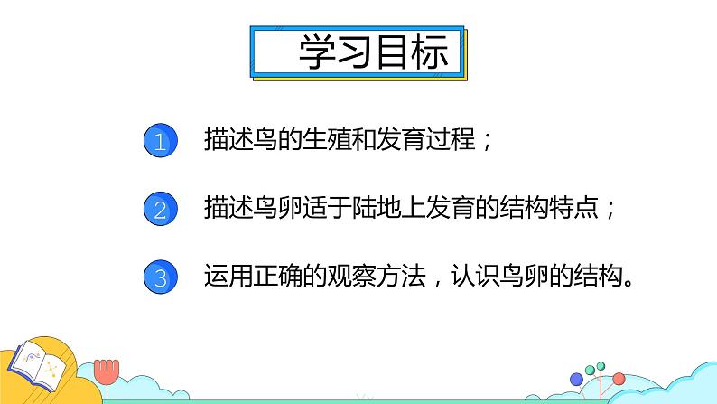 7.1.4 鸟的生殖和发育（26张）-人教版生物八年级下册课件02