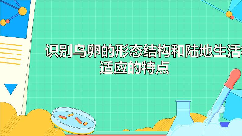 7.1.4 鸟的生殖和发育（26张）-人教版生物八年级下册课件06