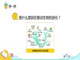 7.3.3 生物进化的原因（26张）-人教版生物八年级下册课件