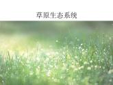 北师大版八下生物 21.2生物的进化 课件
