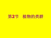北师大版八下生物 22.3植物的主要类群 课件