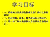北师大版八下生物 22.3植物的主要类群 课件