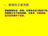 北师大版八下生物 22.3植物的主要类群 课件