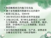 北师大版八下生物 23.4生态系统的稳定性 课件