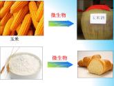 北师大版八下生物 25.1发酵技术 课件