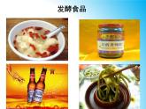 北师大版八下生物 25.1发酵技术 课件