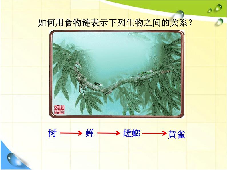 北师大版八下生物 23.3生态系统的结构和功能 课件第4页