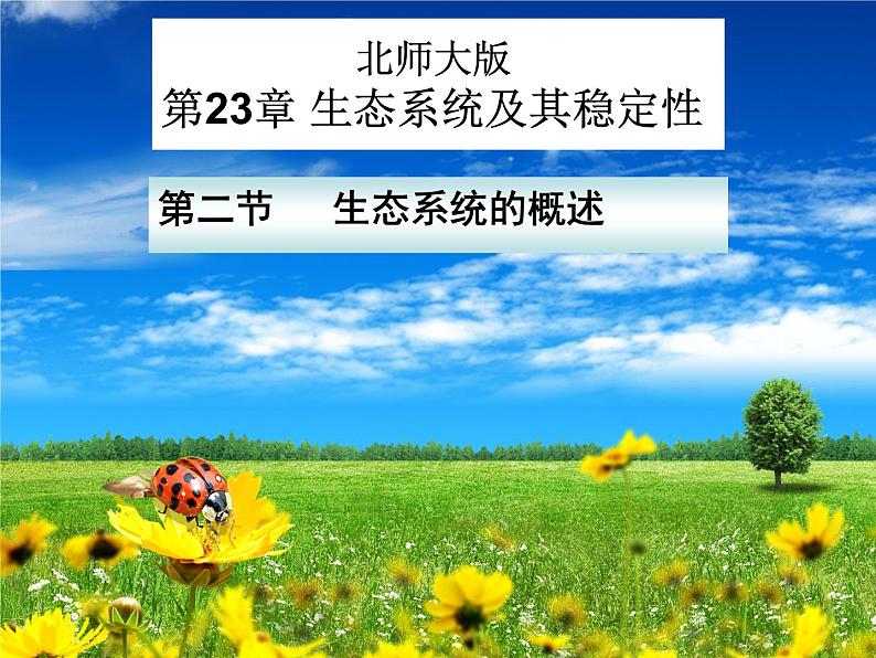 北师大版八下生物 23.2生态系统概述 课件第2页