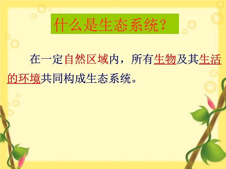 北师大版八下生物 23.2生态系统概述 课件第4页