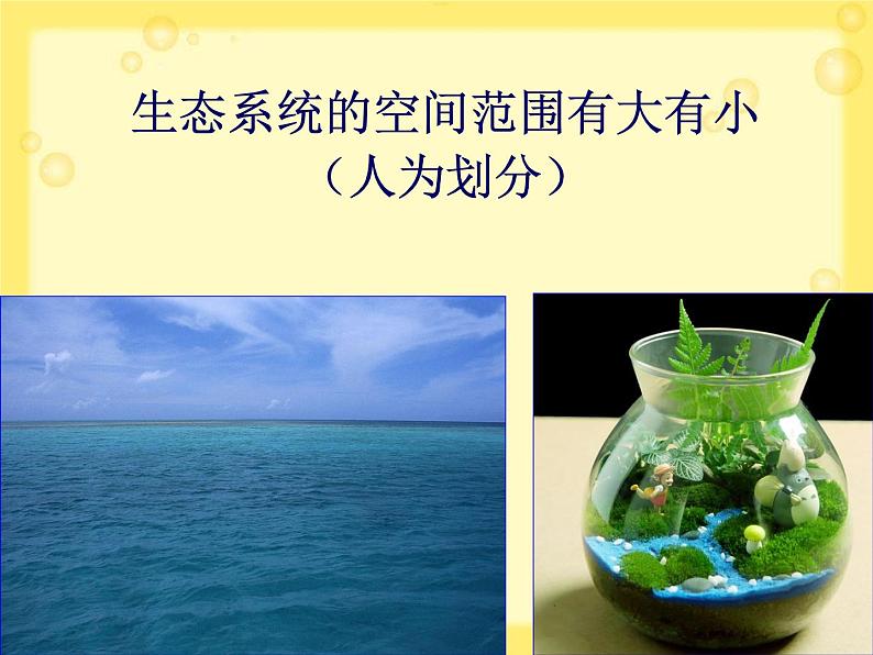 北师大版八下生物 23.2生态系统概述 课件第7页