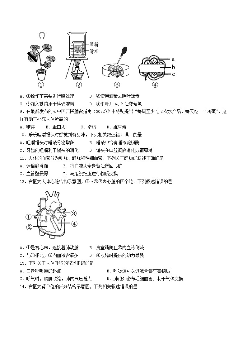 2022年北京市石景山区中考一模生物试题（有答案）02