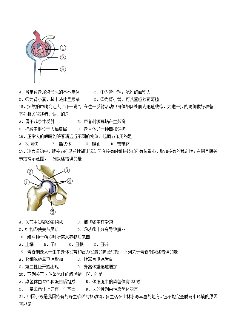 2022年北京市石景山区中考一模生物试题（有答案）03